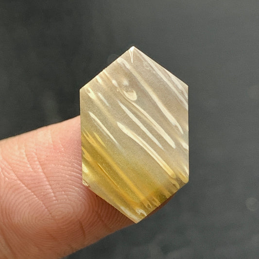 Tiny Petrified Palm Wood Cabochon 18.5x11.5x3.5mm