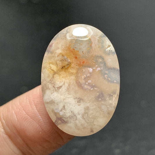 Agatized Coral Fossil Cabochon 23x16x5mm