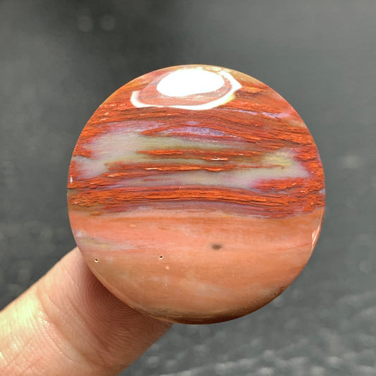 Petrified Palm Wood Cabochon 29x29x6.5mm
