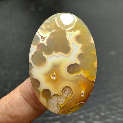 Orbicular Agate Cabochon 38.3x26x5.5mm
