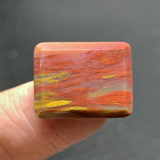Tiny Petrified Palm Wood Cabochon 16x12.5x3.8mm