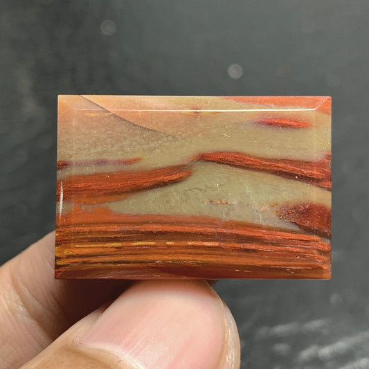 Petrified Palm Wood Cabochon 21.7x18x4mm