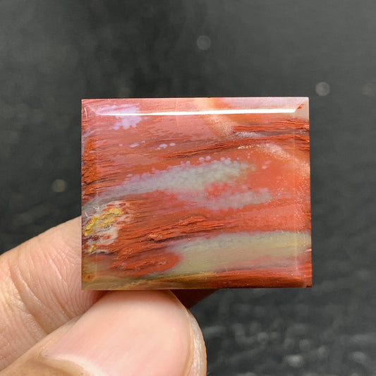 Petrified Palm Wood Cabochon 23x19x4mm