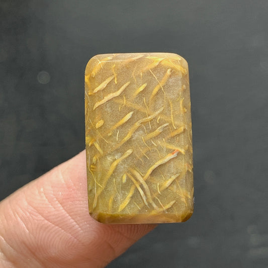Tiny Petrified Palm Wood Cabochon 20x13x6mm