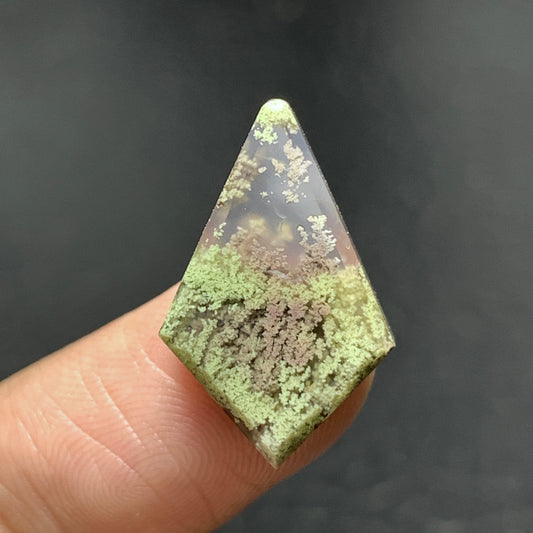 Scenic Moss Agate Cabochon 20x13x5mm High Quality 9.5 ct