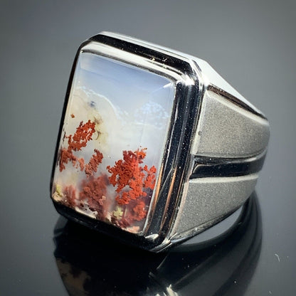 Scenic Moss Agate Rings 19x15x7mm 9.5 USA/Canada