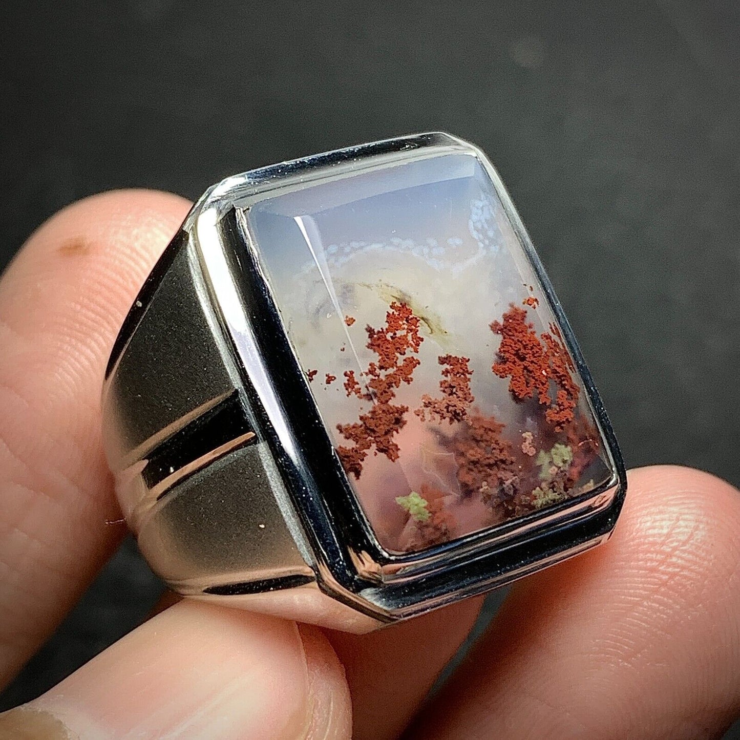 Scenic Moss Agate Rings 19x15x7mm 9.5 USA/Canada