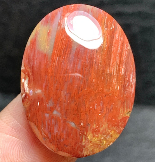 Petrified Palm Wood Cabochon 23x17x6mm