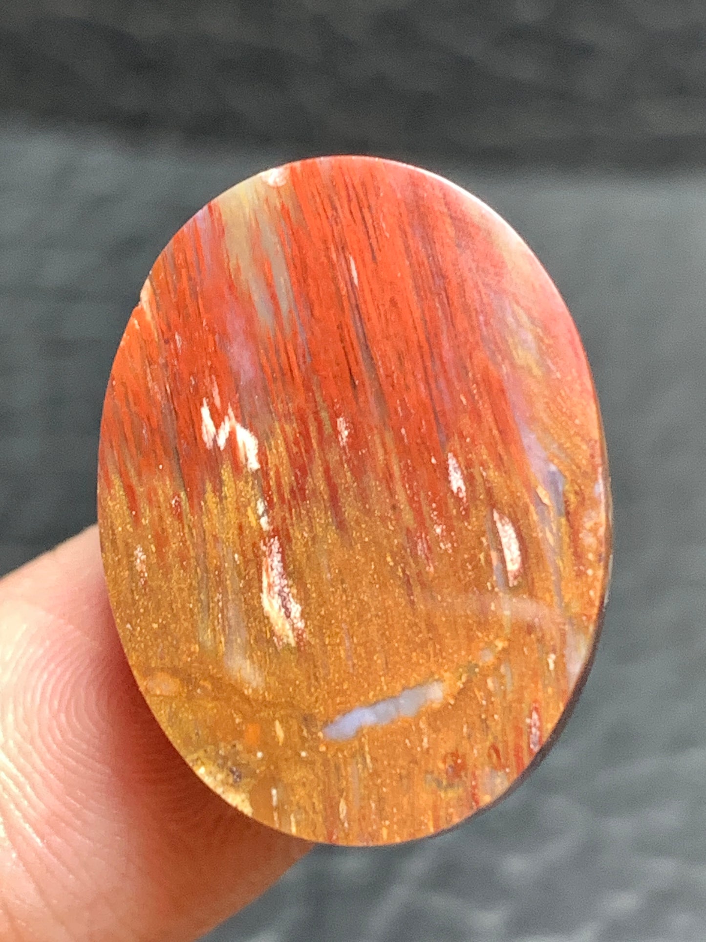 Petrified Palm Wood Cabochon 23x17x6mm