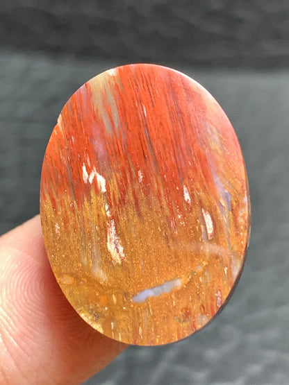Petrified Palm Wood Cabochon 23x17x6mm