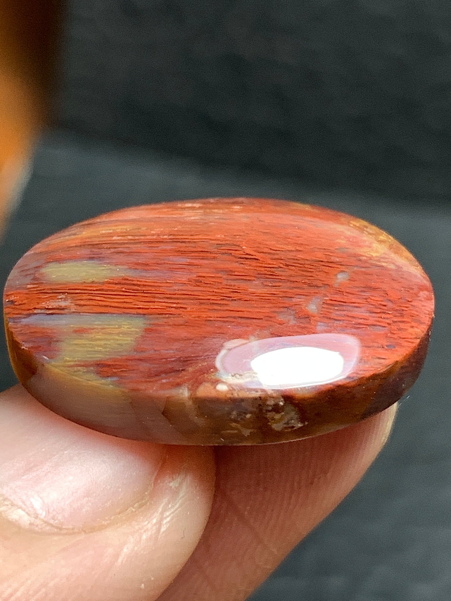 Petrified Palm Wood Cabochon 23x17x6mm
