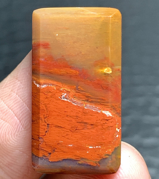 Petrified Palm Wood Cabochon 23.5x13x4mm
