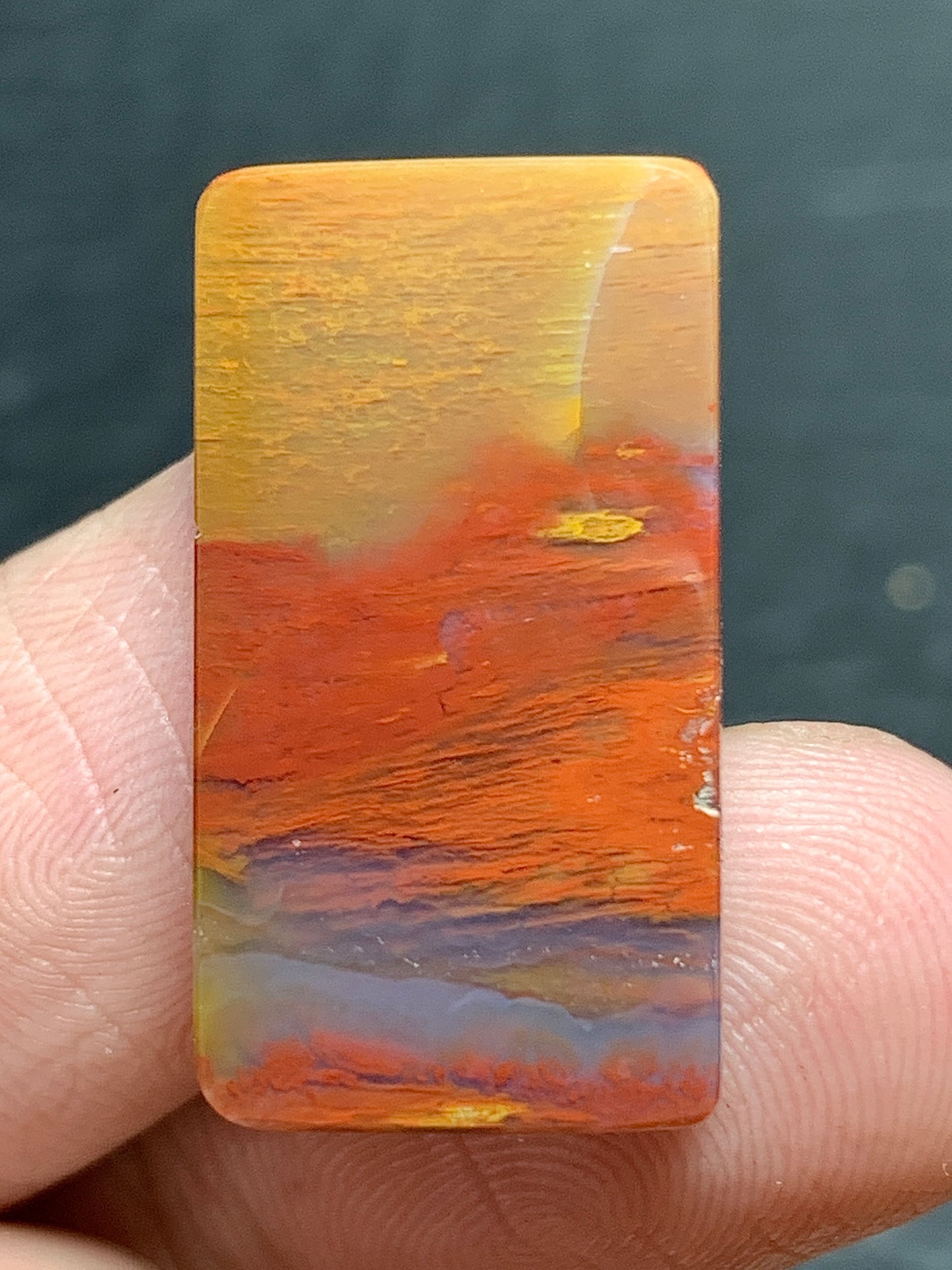 Petrified Palm Wood Cabochon 23.5x13x4mm