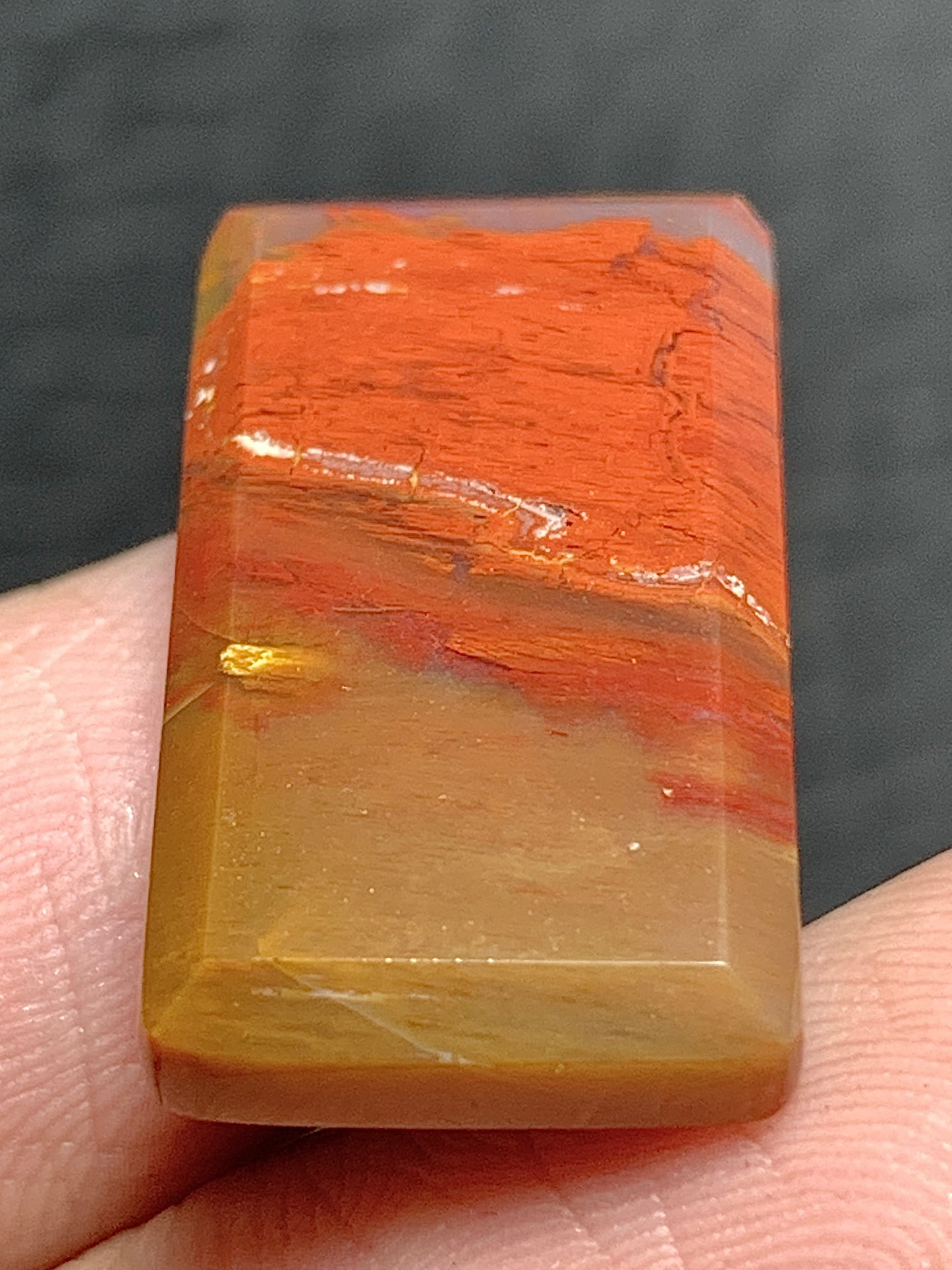 Petrified Palm Wood Cabochon 23.5x13x4mm