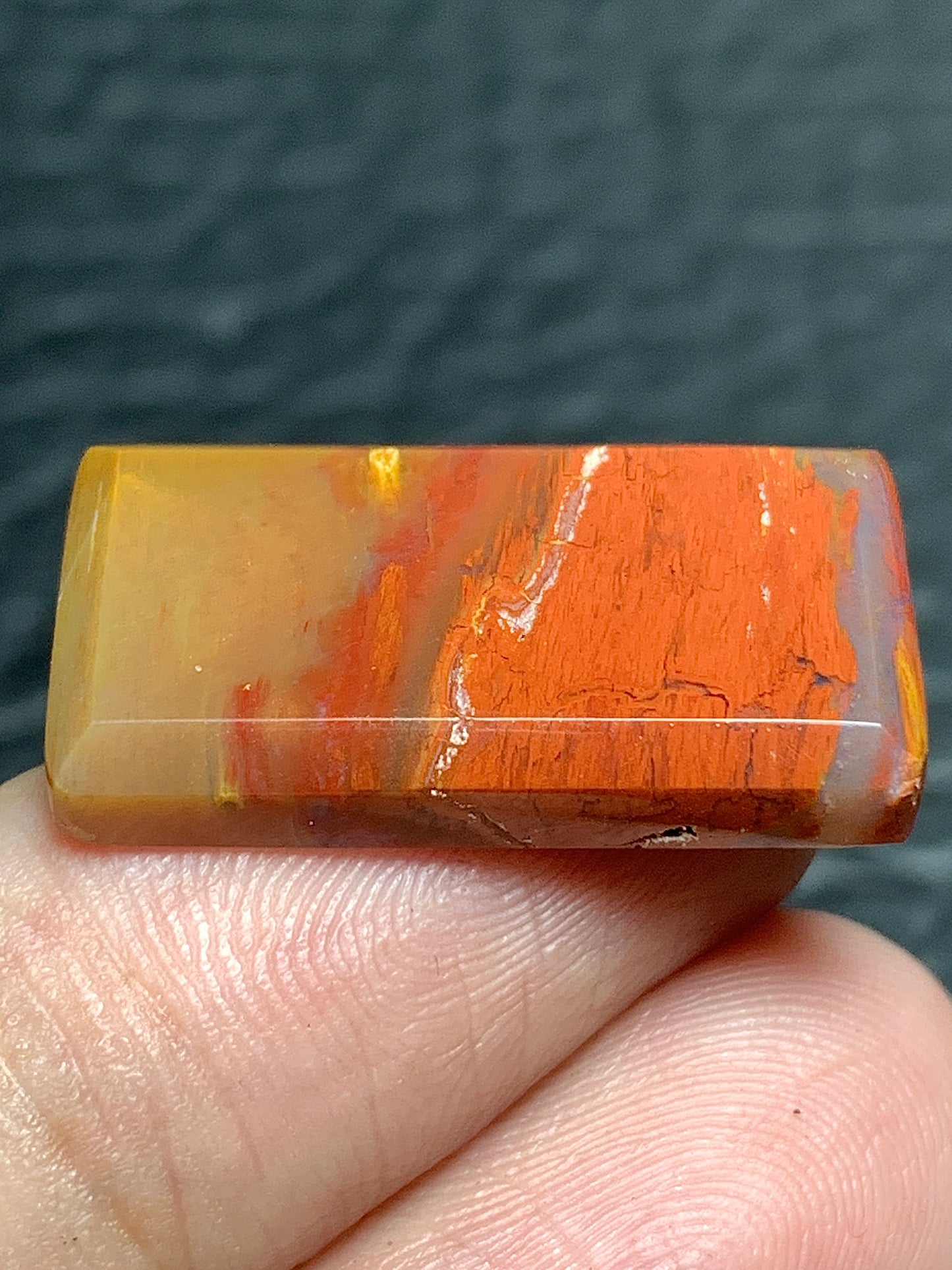 Petrified Palm Wood Cabochon 23.5x13x4mm