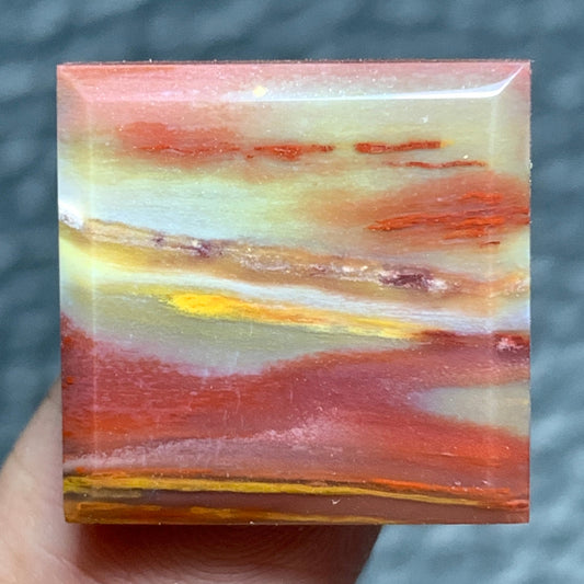 Tiny Petrified Palm Wood Cabochon 18x18x4mm