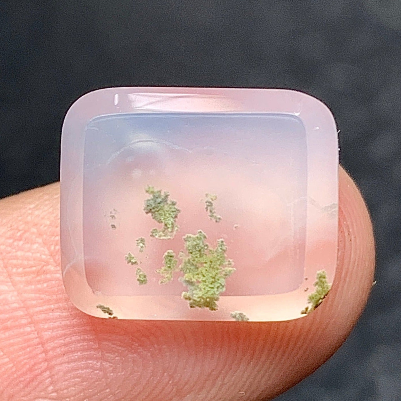 moss