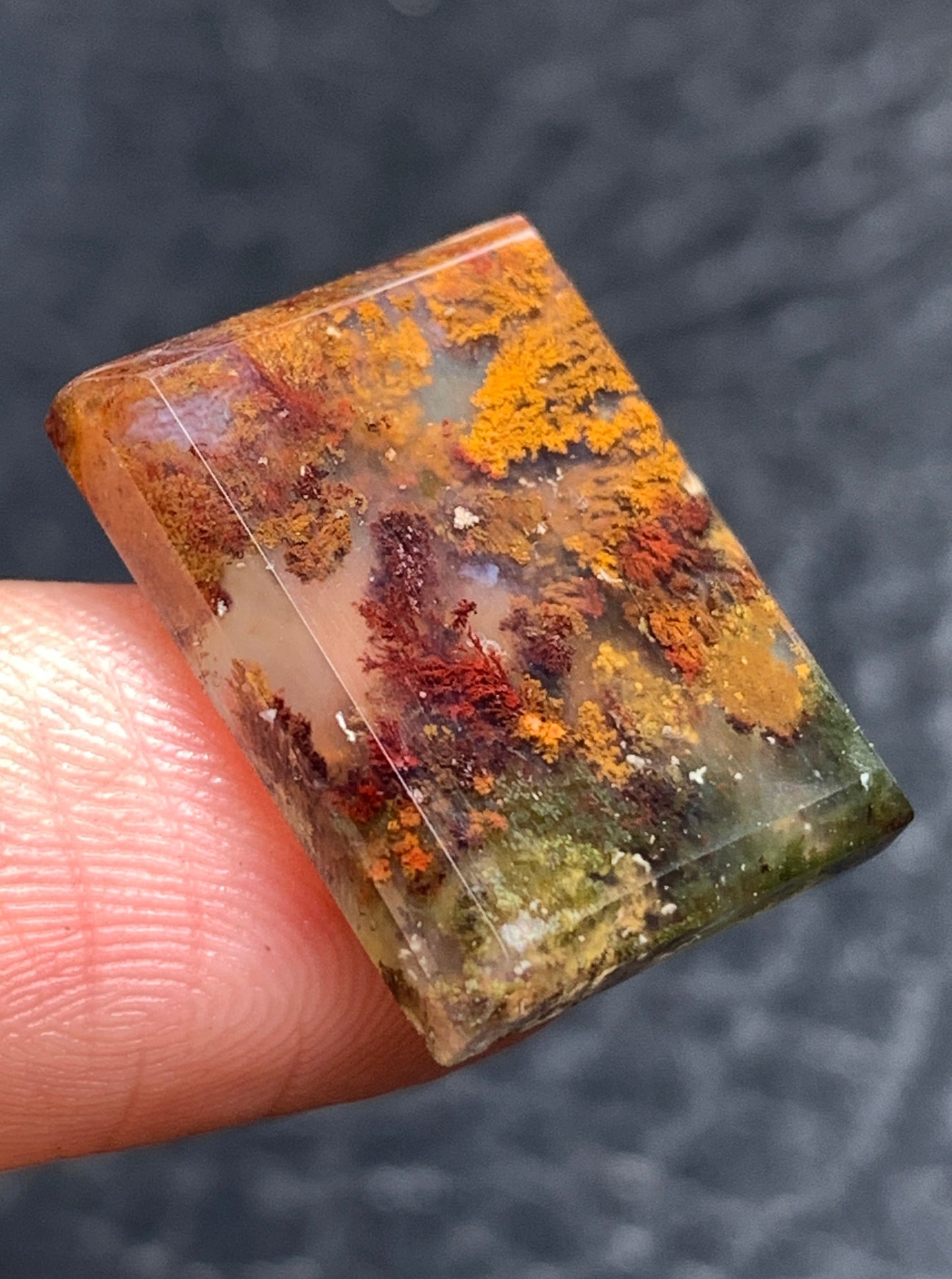 Moss Agate Cabochon 18.5x14x4mm