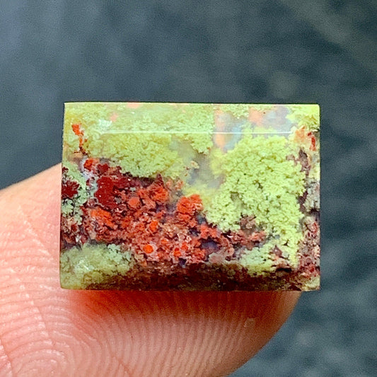 moss