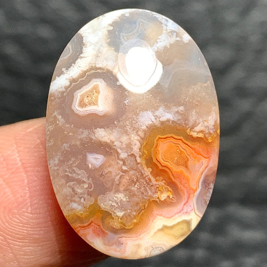Agatized Coral Fossil Cabochon 21x14.8x6.2mm with Pockets Fortification