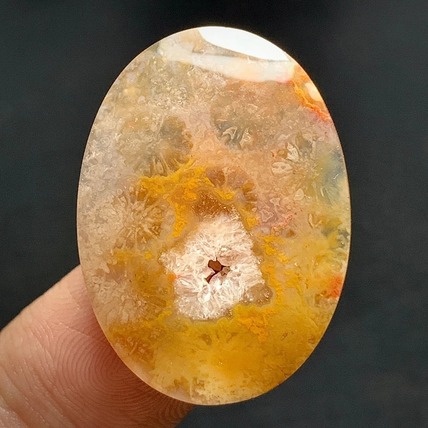 Agatized Coral Fossil Cabochon 28x20.5x5mm