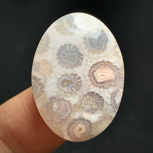 Agatized Coral Fossil Cabochon 25.8x18.5x6mm