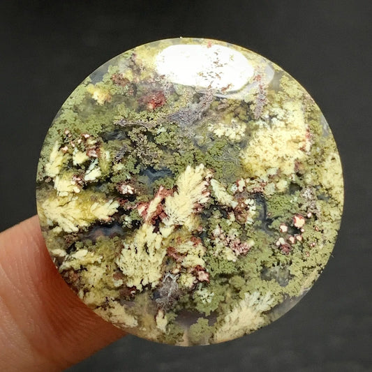 Moss Plume Agate Cabochon 29x29x6mm