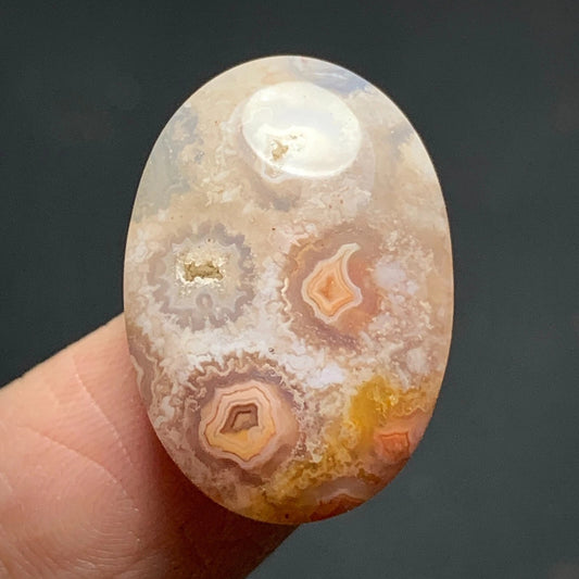 Agatized Coral Fossil Cabochon 22x15x6mm with Pockets Fortification